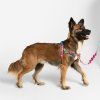 zeedog softerwalk postroj melted 1