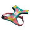 salina 2 mesh harness
