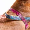 pettorina norvegese softer walk farm rio selva 71a4c49b e0e1 4ac9 9477 e8001ffe69cb.jpg